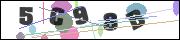 CAPTCHA image characters