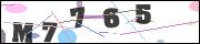 CAPTCHA image characters