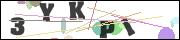 CAPTCHA image characters