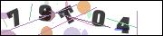 CAPTCHA image characters