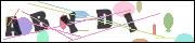 CAPTCHA image characters