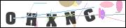 CAPTCHA image characters