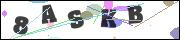 CAPTCHA image characters