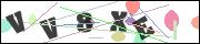 CAPTCHA image characters