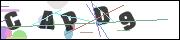 CAPTCHA image characters