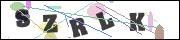 CAPTCHA image characters