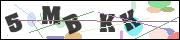 CAPTCHA image characters