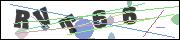 CAPTCHA image characters