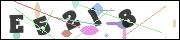CAPTCHA image characters