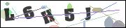 CAPTCHA image characters