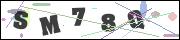 CAPTCHA image characters