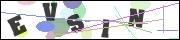 CAPTCHA image characters