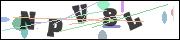 CAPTCHA image characters