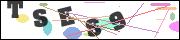 CAPTCHA image characters