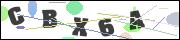 CAPTCHA image characters