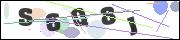 CAPTCHA image characters
