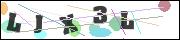 CAPTCHA image characters