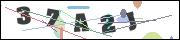 CAPTCHA image characters