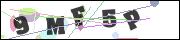 CAPTCHA image characters