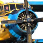 avnepr